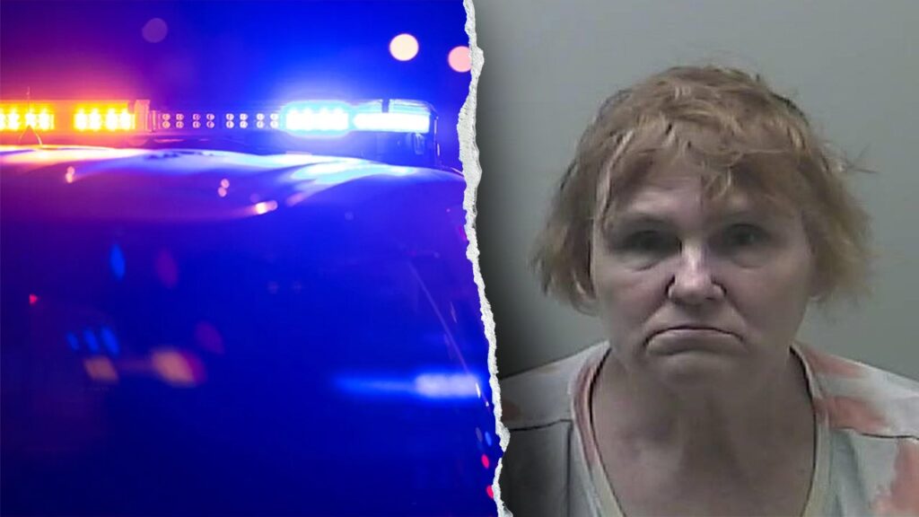 Michigan babysitter faces 47 sexual abuse fees involving kids: police | USAEMALL.com