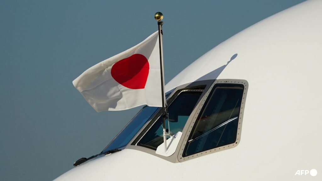 Japan launches DOGE-inspired workplace to chop funds waste | USAEMALL.com