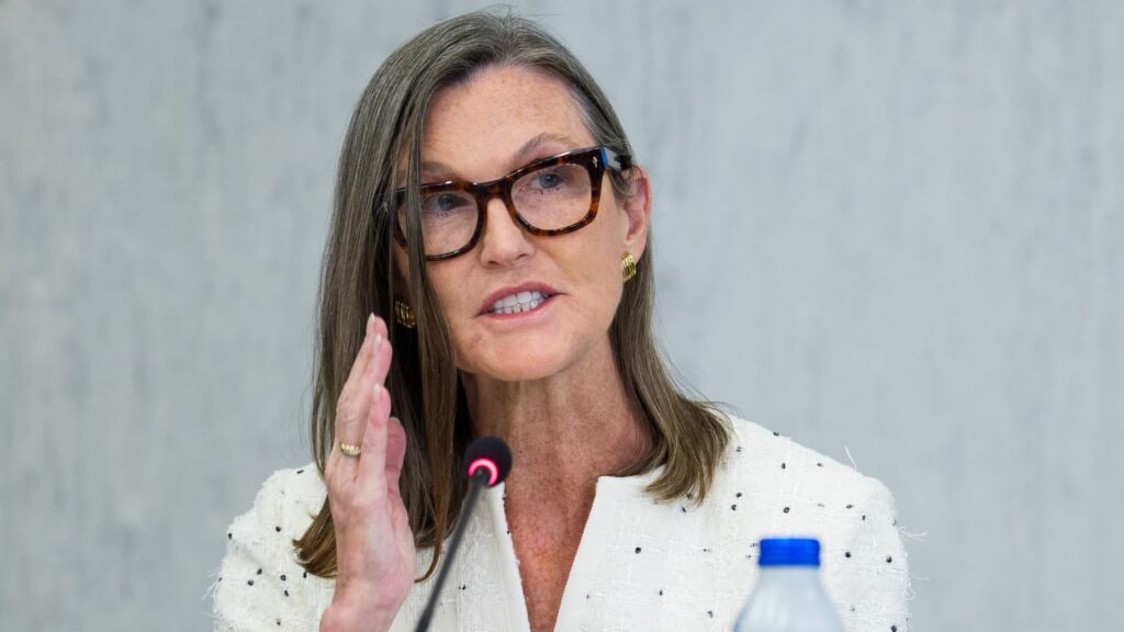 Cathie Wood trims her bitcoin bull case on risk of stablecoins taking some market share | USAEMALL.com