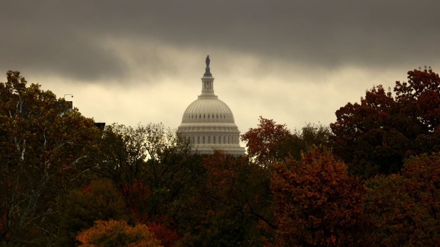 Federal staff are shedding buying curiosity | USAEMALL.com