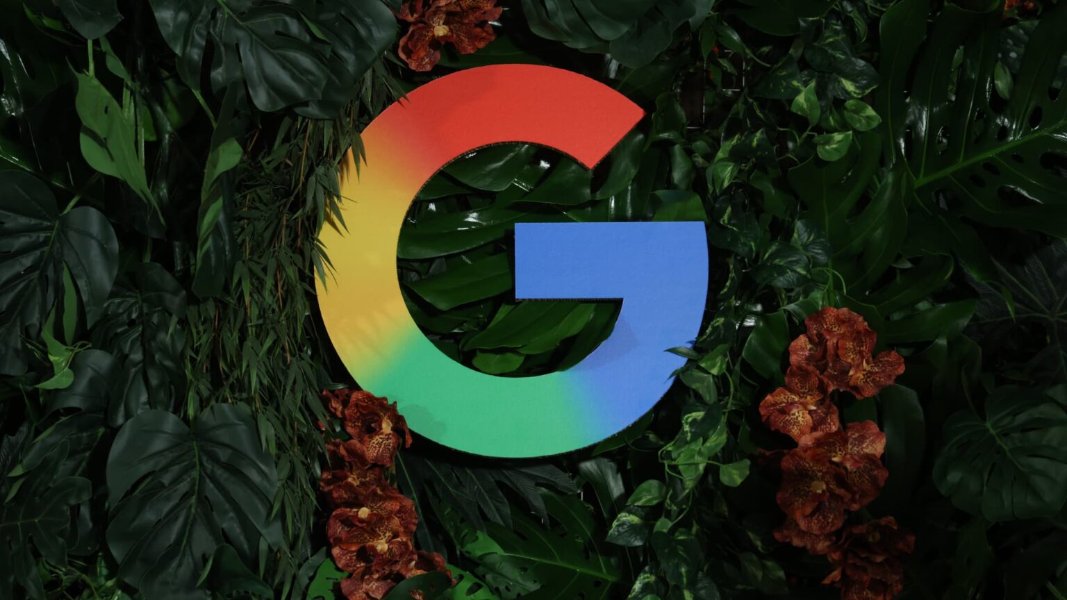 Alphabet to omega in AI? | USAEMALL.com