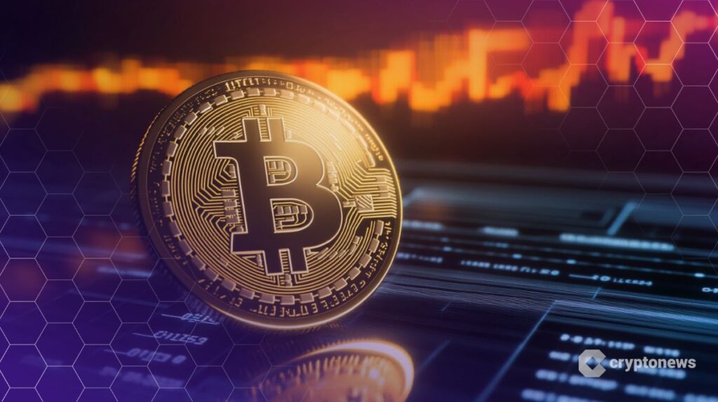 Data Shows Bitcoin Buyers Going All-In at Record Pace | USAEMALL.com