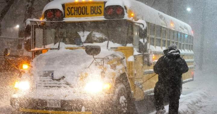 How Ontario faculty boards resolve when to cancel faculty buses | USAEMALL.com
