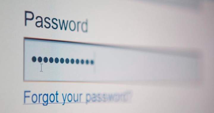 Is your password on the ‘most common’ listing? You is perhaps stunned – National | USAEMALL.com