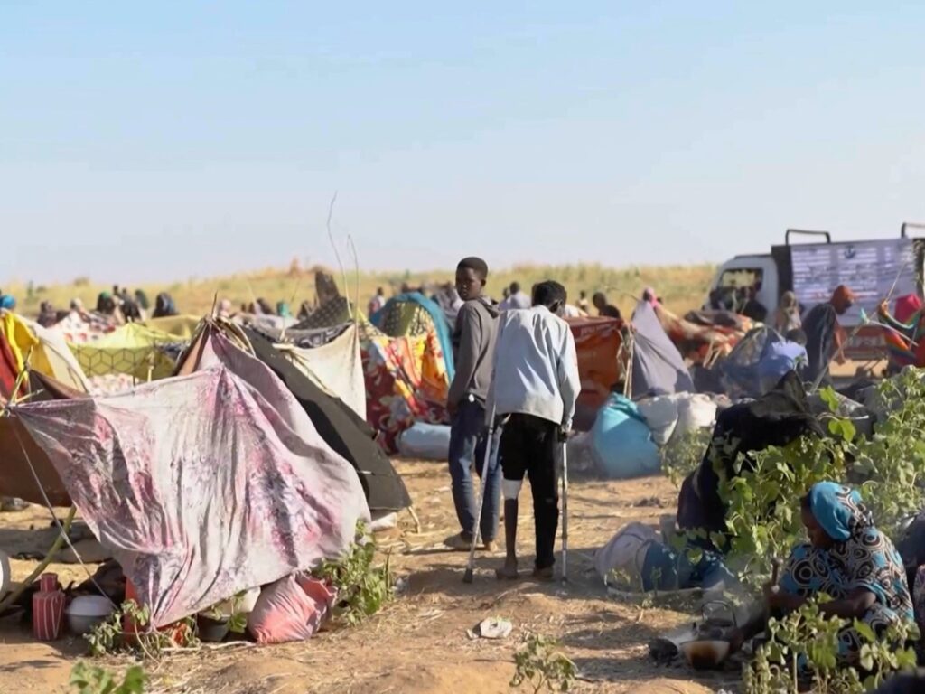 Humanitarian catastrophe worsens throughout Sudan after RSF takes over el-Fasher | Sudan battle News | USAEMALL.com
