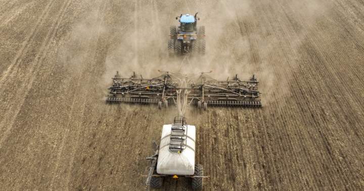 Canola and meals exports: What Budget 2025 proposes as commerce battle continues | USAEMALL.com