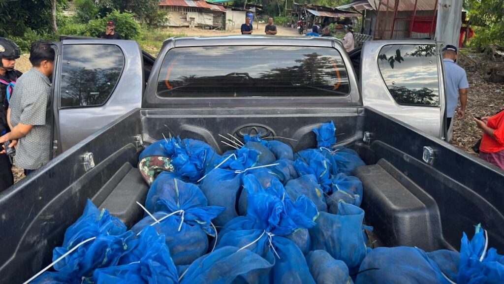 Men shifting 81 macaques, meth arrested in Thailand | USAEMALL.com