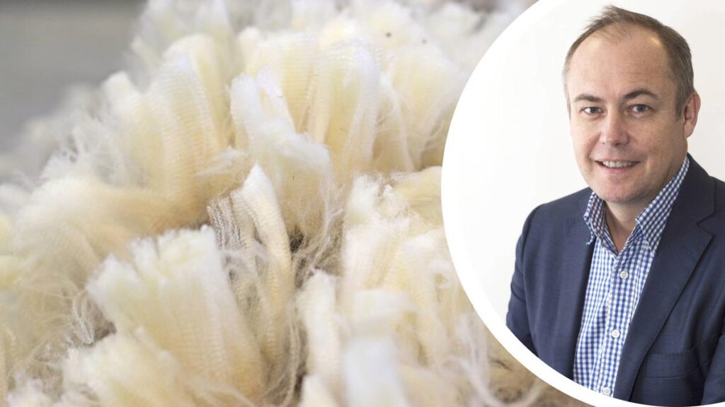 Woolly good: Merino wool on this planet’s three most fascinating materials as shoppers hunt down sustainable choices | USAEMALL.com