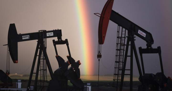 Federal price range indicators tone shift on oil and gasoline, however key particulars nonetheless unclear: specialists | USAEMALL.com