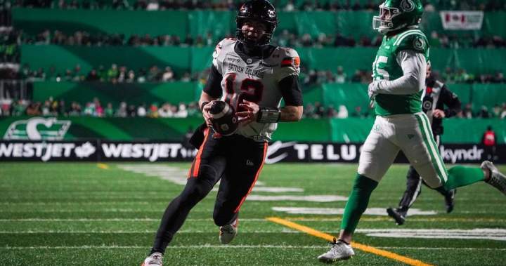 Roughriders off to Grey Cup after beating Lions | USAEMALL.com