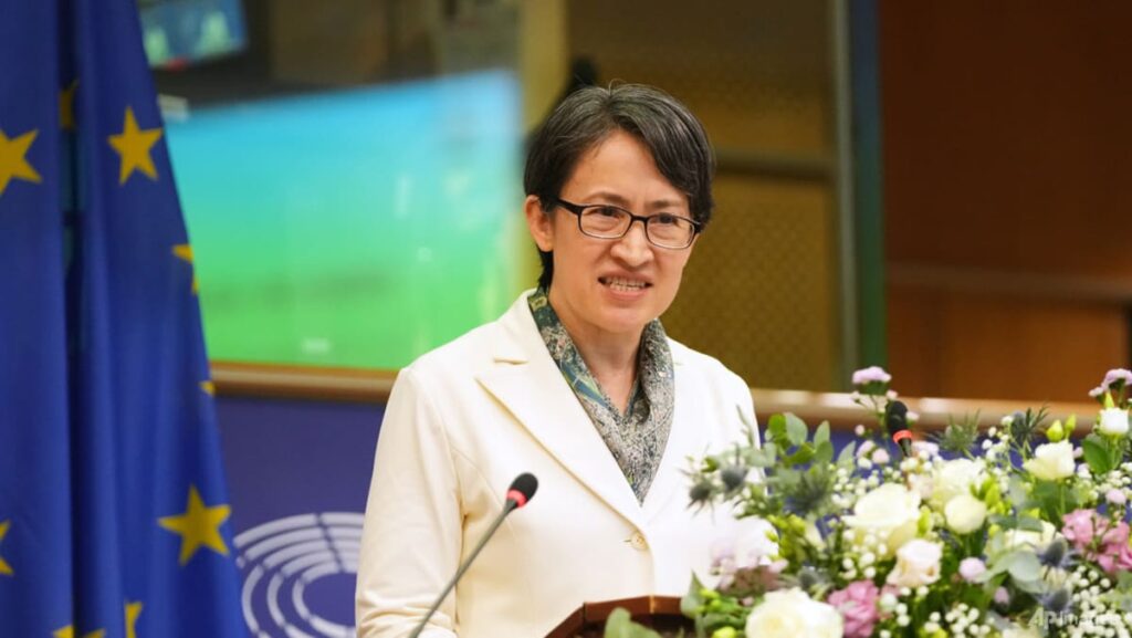 Taiwan’s Vice-President Hsiao makes uncommon handle to worldwide lawmakers at European Parliament | USAEMALL.com