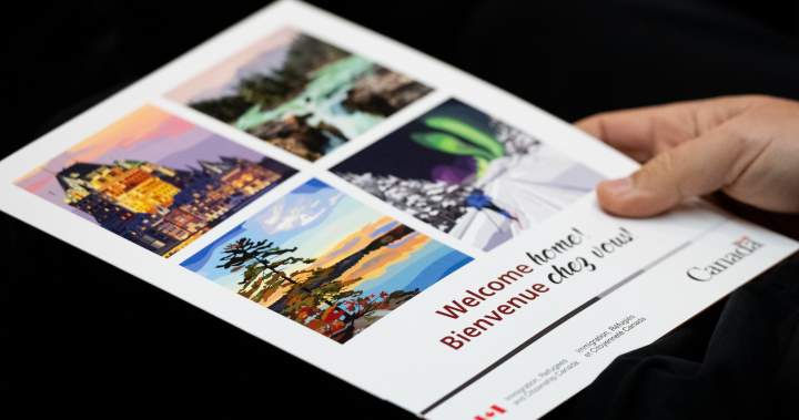 Highly expert immigrants are twice as prone to depart Canada, report reveals – National | USAEMALL.com