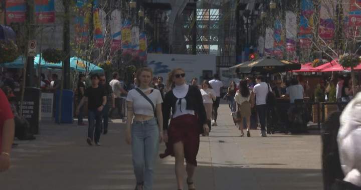 Calgarians optimistic about metropolis’s future, query worth for tax {dollars} forward of finances – Calgary | USAEMALL.com