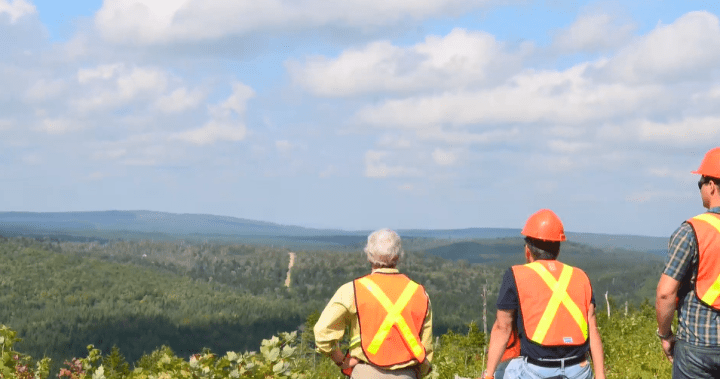 New Brunswick mine added to main initiatives however opponents say it’ll do extra hurt than good | USAEMALL.com