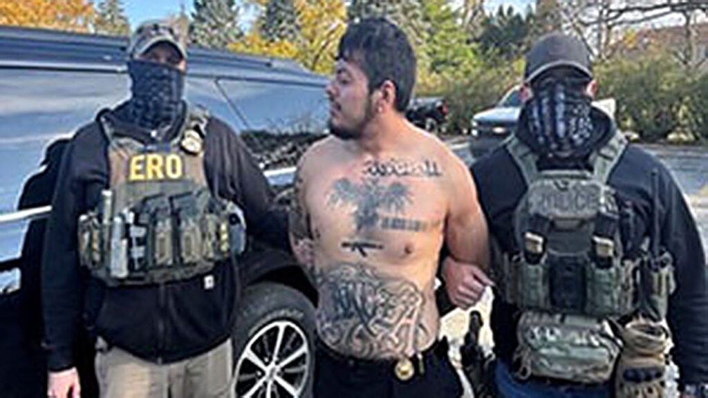 ICE arrests Mexican nationwide in nation illegally with violent felony previous | USAEMALL.com