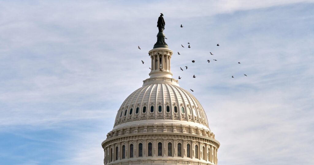 House Republican leaders aiming to carry Tuesday vote on forcing launch of Epstein recordsdata, sources say | USAEMALL.com