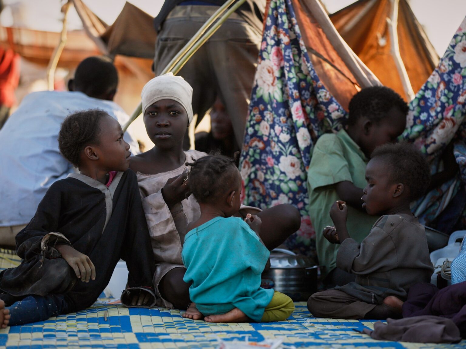 UN rights council orders probe of ‘appalling’ abuses in Sudan’s el-Fasher | Human Rights News | USAEMALL.com