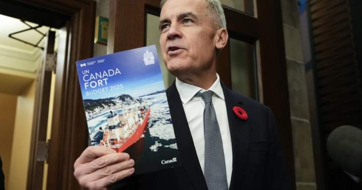 Carney faces essential confidence vote as MPs set to vote on funds – National | USAEMALL.com