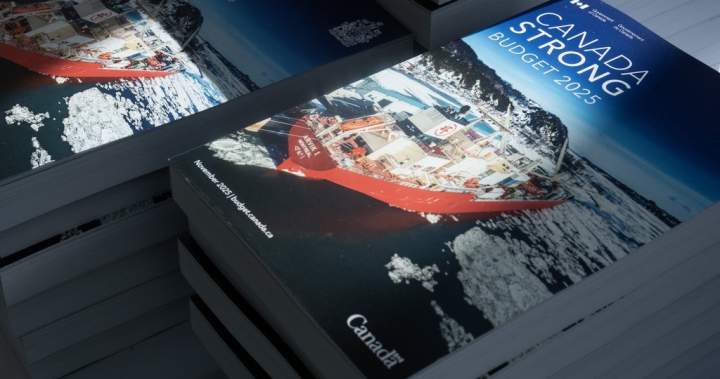 Saskatchewan industries welcome federal finances with unanswered questions | USAEMALL.com