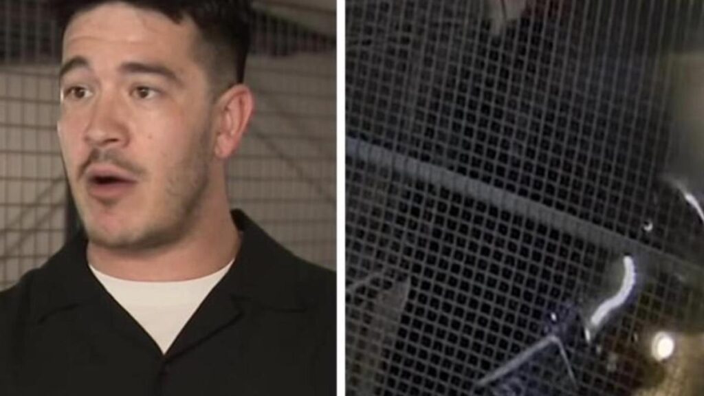 Man watches in horror as new Audi plunges 10m to floor from automobile stacker | USAEMALL.com