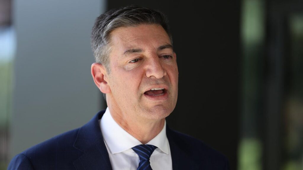 Basil Zempilas leaves door ajar for internet zero evaluation as Federal Liberals mull scrapping coverage | USAEMALL.com