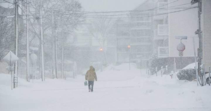 N.B. faces snowfall warnings as N.S., N.L. brace for prime winds | USAEMALL.com