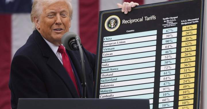 Trump’s tariff powers to be examined by U.S. Supreme Court. What’s at stake? – National | USAEMALL.com