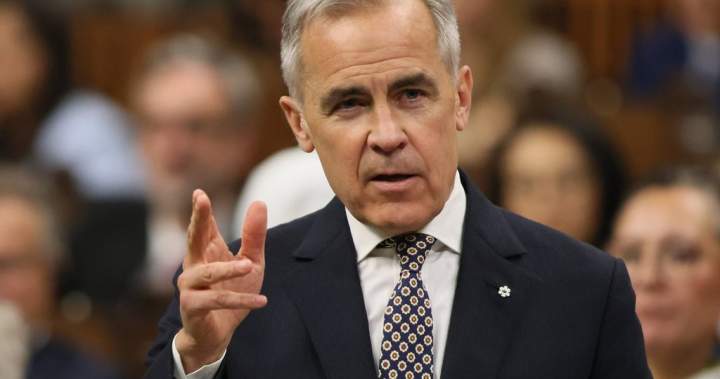 Carney authorities to face essential confidence votes Thursday, Friday – National | USAEMALL.com