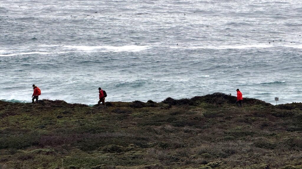 Father, daughter die at Garrapata State Beach after huge wave hits | USAEMALL.com