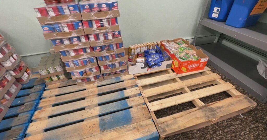 Judge orders Trump administration to totally fund SNAP advantages for November by Friday | USAEMALL.com