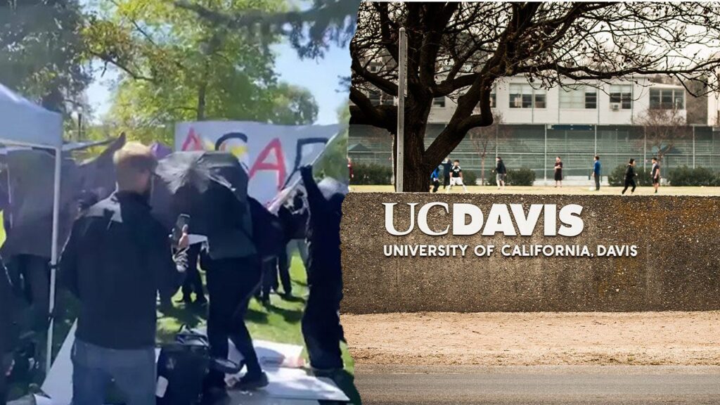 California girl charged after Turning Point occasion at UC Davis erupts into chaos | USAEMALL.com
