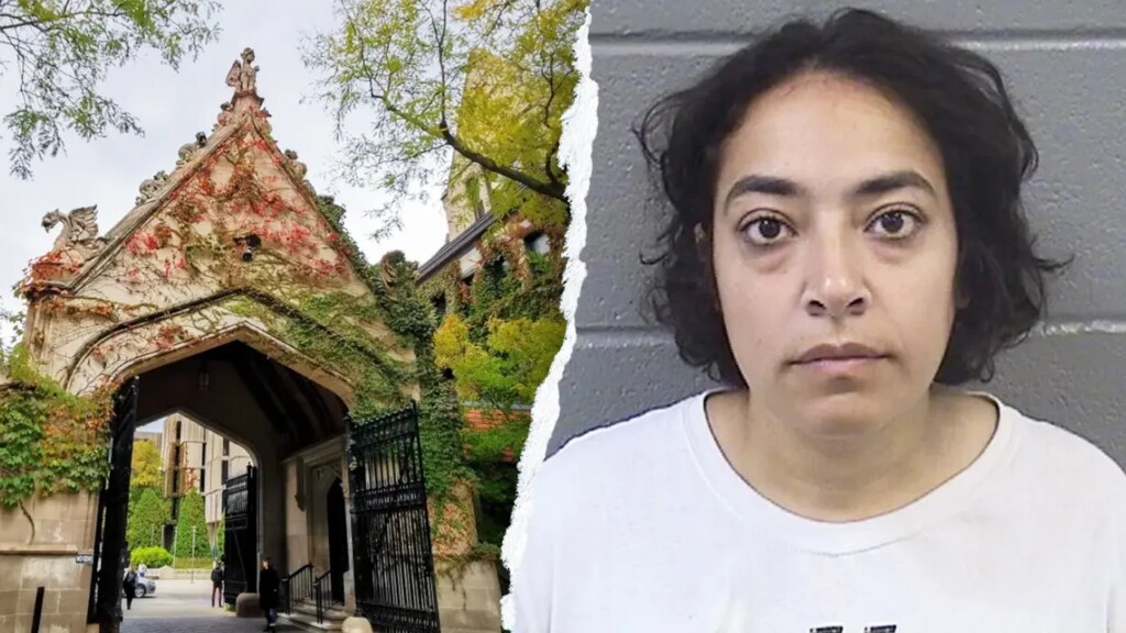 University of Chicago silent on professor arrested at anti-ICE rally | USAEMALL.com