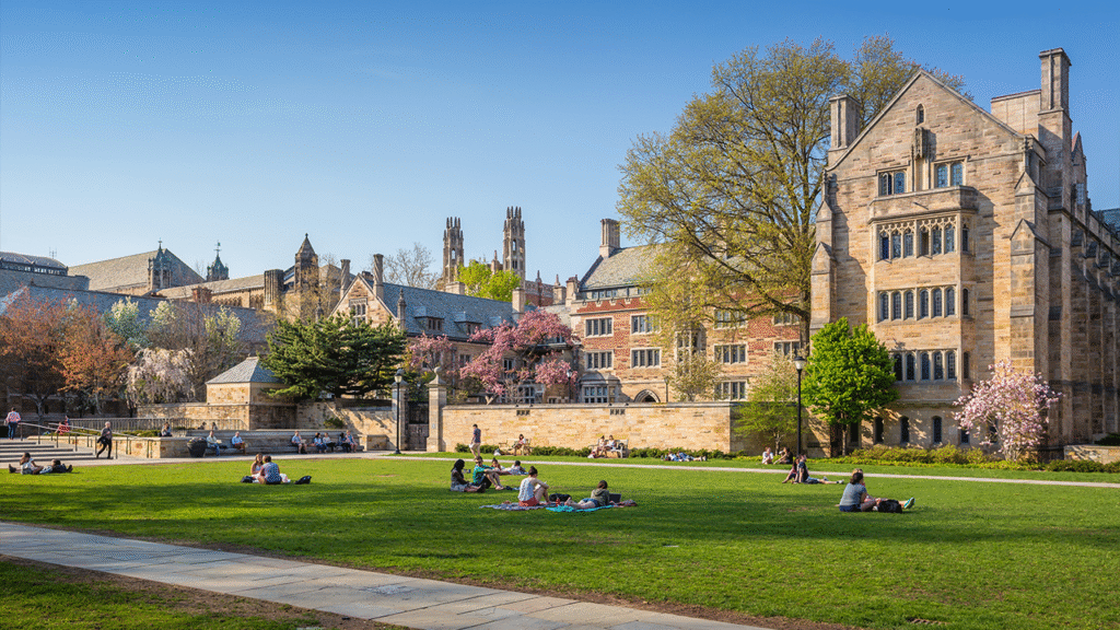 Yale expels faux pupil, elevating educational fraud and safety issues | USAEMALL.com