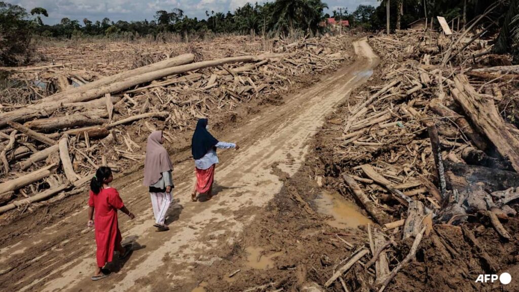 Toll in lethal Indonesia floods close to 1,000, frustrations develop | USAEMALL.com