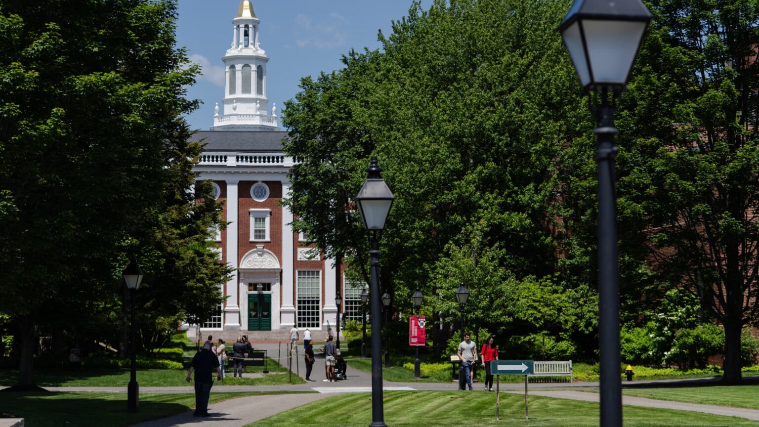 What Harvard researchers realized about human use of AI in workplace work | USAEMALL.com