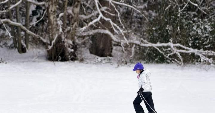 Quebec college insurers set new sledding hill requirements – Montreal | USAEMALL.com