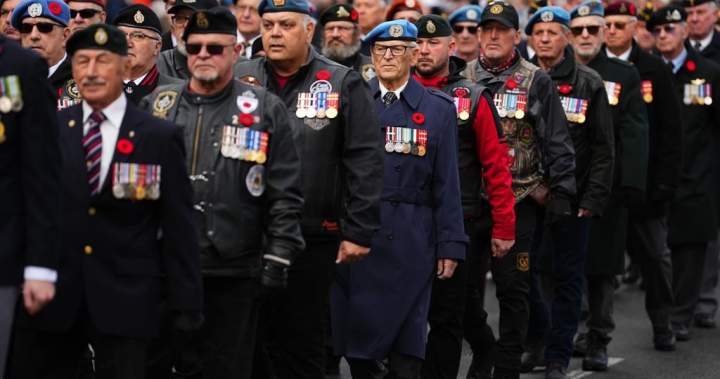 Veterans Affairs calls for reimbursement of some advantages; course of shocks veterans’ advocates | USAEMALL.com