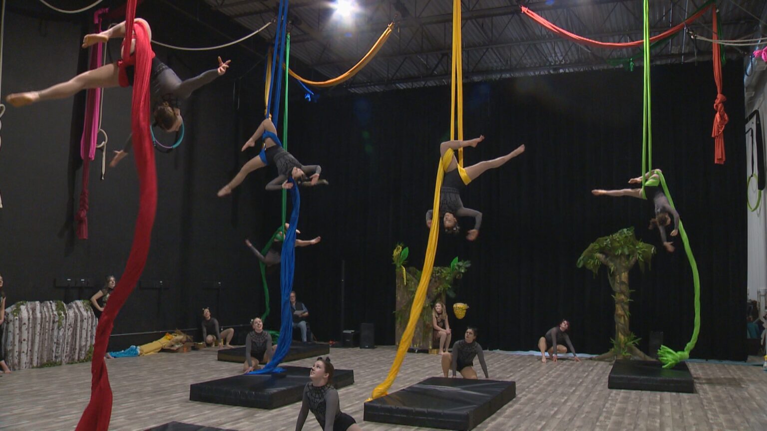 Saskatoon aerial dancers put together for his or her performances at Persephone Theatre – Saskatoon | USAEMALL.com