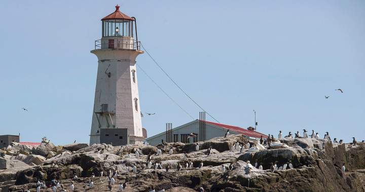 Senator calls on Ottawa to strengthen Canada’s declare to island off New Brunswick | USAEMALL.com