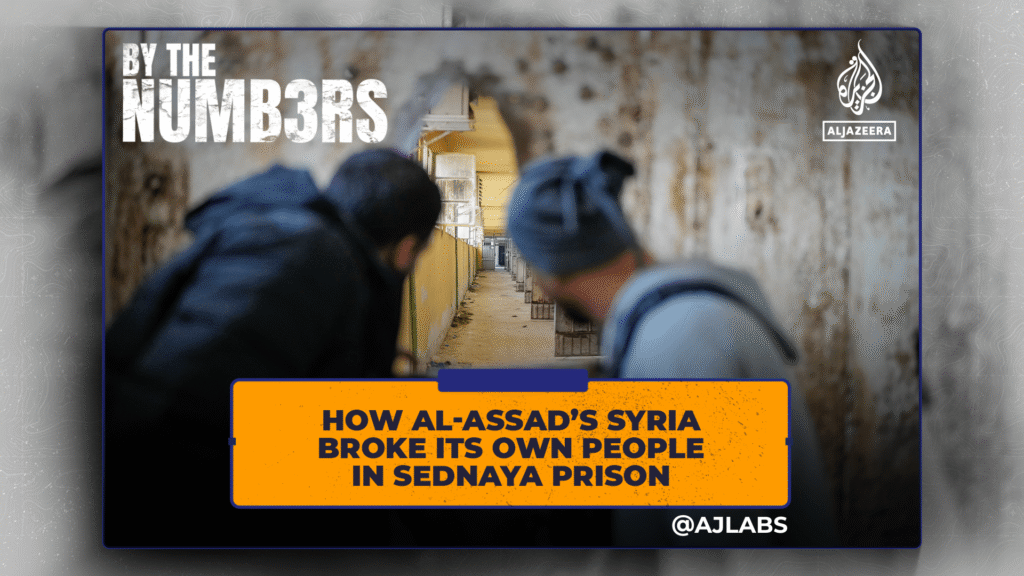 How al-Assad’s Syria broke its personal individuals in Sednaya jail | USAEMALL.com