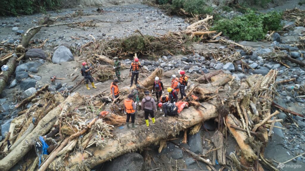 Did deforestation worsen Sumatra catastrophe? Indonesia to hint timber, summon firms to elucidate | USAEMALL.com