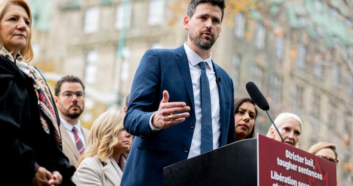 Liberals to put out plan for ‘generational’ Criminal Code updates – National | USAEMALL.com