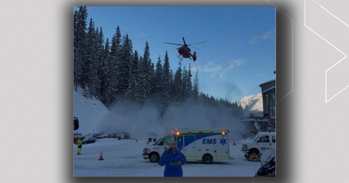 Toronto lady dies after falling into deep snow at Sunshine Village | USAEMALL.com