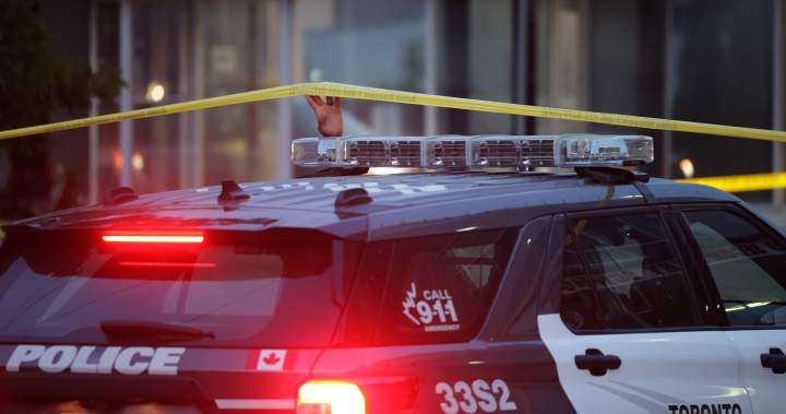 Toronto homicides on tempo for 5-year low, however progress ‘fragile,’ advocate warns | USAEMALL.com