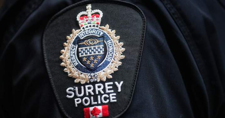 Surrey police say a 9-year-old has died after collision with giant automobile | USAEMALL.com