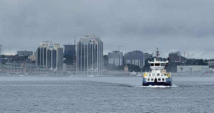 Nova Scotia’s robust inhabitants development has tapered off for the primary time since 2020 – Halifax | USAEMALL.com