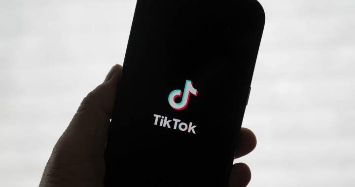 TikTok class motion accuses platform of not defending youngsters, seeks damages – National | USAEMALL.com