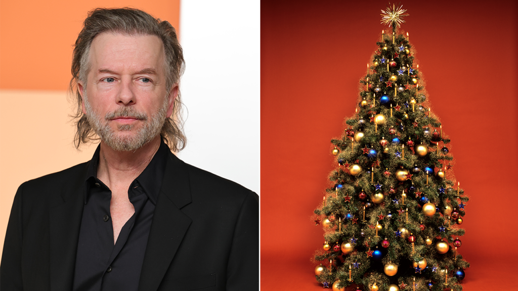 David Spade blasts mall for ‘consciously avoiding’ Christmas throughout tree-lighting | USAEMALL.com