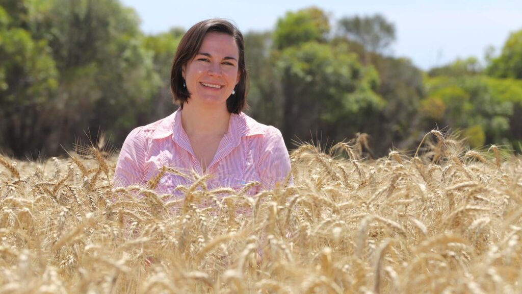 Hear from the editor: 140 years of the Countryman newspaper | USAEMALL.com