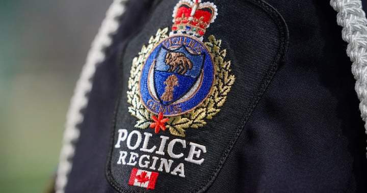 Regina police officer caught committing 67 privateness breaches utilizing police database – Regina | USAEMALL.com
